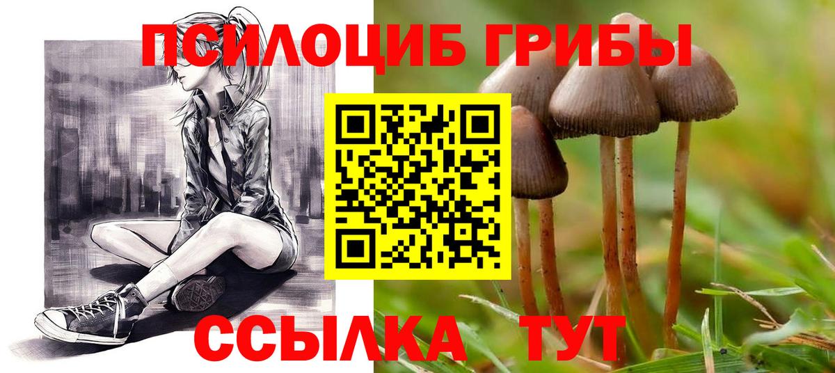 Оренбург  Псилоцибиновые грибы мицелий  Галлюциногенные грибы MAGIC MUSHROOMS  Вход с VPN 
